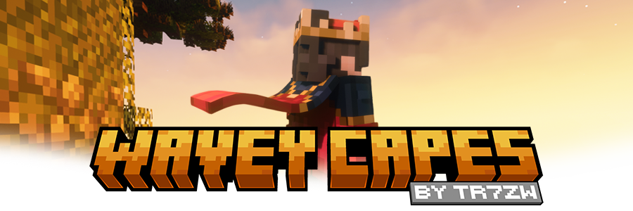 Wavey Capes Banner